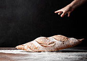 Anonymer Bäcker lässt gebackenes Brot mit Mehl bestäubt auf den Tisch fallen, schwarzer Hintergrund