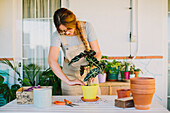 Young female florist in apron planting green plant into ceramic pot while working in professional floristry studio