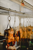 Prepared delicious appetizing roast duck hanging in cuisine in restaurant