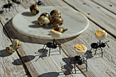 From above of toy black ants placed near plate with quail eggs on wooden table in sunlight