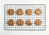 Top view of tasty homemade sweet cookies with chocolate chips placed on metal cooling rack on white background in kitchen