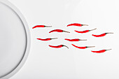 Scharfe rote Chilischoten in der Nähe eines Tellers vor weißem Hintergrund