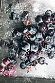Top view of piece of ice with grapes placed on metal tray at sunlight