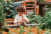 Kleiner, lockig behaarter, neugieriger Junge mit Schaufel, der in der Nähe eines Gartenbeetes steht und beim Pflanzen von Setzlingen hilft