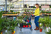 Side view of female customer in protective mask and with assorted plants in shopping trolley standing in modern garden center