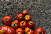Top view closeup of a pile of red tomatoes on the ground