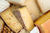 Close-up of pieces of assorted fresh cheese