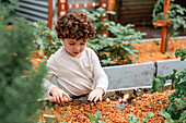 Kleiner, lockig behaarter, neugieriger Junge mit Schaufel, der in der Nähe eines Gartenbeetes steht und beim Pflanzen von Setzlingen hilft