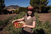 Delighted ethnic female farmer standing with basket full of fresh tomatoes in agricultural field in countryside and looking at camera