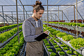 Man in checkered shirt and apron checking growth of lettuce seedling and taking notes in notebook in greenhouse with hydroponic system