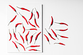 Hoher Winkel Komposition von scharfen roten Chilischoten arrangiert Platte gegen weiße Tafel Oberfläche Hintergrund