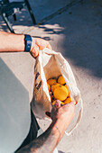 A person holds a cloth bag filled with ripe, freshly picked lemons, highlighting sustainable harvesting at home.