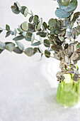 A green glass vase holding lush eucalyptus branches against a pure white background, creating a refreshing and clean visual
