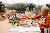 An elderly woman sorts fresh vegetables at a table outdoors with a curious cat walking among the produce