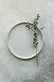 Ein einfacher Keramikteller mit einem zarten Eukalyptuszweig auf einem strukturierten Hintergrund