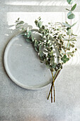 A simple yet elegant arrangement of eucalyptus sprigs resting on a white ceramic plate against a textured backdrop