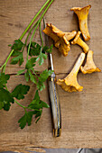 Chanterelles and parsley on a wooden board