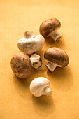 White and brown mushrooms on a yellow background