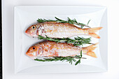 Raw sea bream with rosemary on a plate