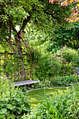 Grüner Garten mit Holzbank unter Baum