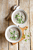 Cream of mushroom soup with herb balls