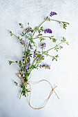 Summery meadow flowers on a white background