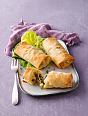 Filo pastry rolls filled with vegetables