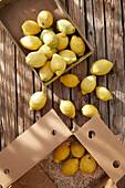 Zitronen in Kisten