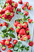 Fresh strawberries in cardboard trays