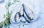 Raw herrings with thyme and dill