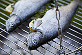 Grilled trout with lemon and thyme
