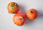 Three Hokkaido pumpkins
