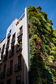 Vertikaler Garten Caixa Forum von Patrick Blanc, Madrid, Spanien
