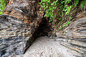 Trinidad Las Cuevas