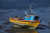 A commercial fishing boat grounded on a mud flat at low tide on Chiloe Island in the Lakes Region of Chile.