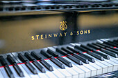 Black and white keys of a Steinway & Sons piano in sharp focus.