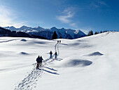 Austria,Tyrol,KUHTAI,a group of people is  hiking with snow shoes through an immaculated landscape covered with fresh snow