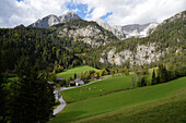 Austria,Styria,Johnsbach valley,limestone mountain landscape with pine forests ,fields and a traditional farm at the bottom
