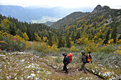 Austria,Styria,ENNSTAL Alps, 2 men are hiking down on a narrow trail towards a pine tree forest above the Admont valley