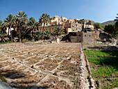 Sultanate of Oman,AS Sharqiyah region,Village of Bilad Sayt,view on a traditional village from the palm tree grove and the  gardens divided into small square plots