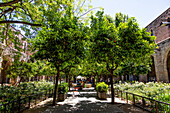 BARCELONA,SPANIEN - 01. JUNI 2019. Garten im Hinterhof des ehemaligen Krankenhauses Santa Creu de Barcelona. Jetzt ist das bedeutende gotische Ensemble die Nationalbibliothek von Katalonien, Barcelona