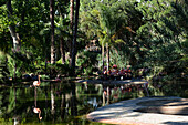 Flamingos in einem Zoo, Barcelona