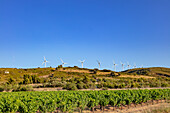 Windmühle von Lezignan corbieres,Okzitanien,Languedoc-Roussillon,Frankreich