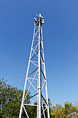 Frankreich. Seine und Marne. Boissy le Chatel. Mobilfunk-Relais-Antennentürme.