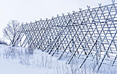 Norway,city of Tromso,cod drying racks under the snow