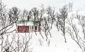 Norway,city of Tromso,red isolated house in the snow