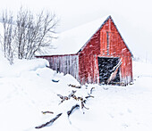 Norway,city of Tromso,red shed under the snow