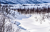 Norwegen,Stadt Tromso,Insel Senja,verschneite Landschaft