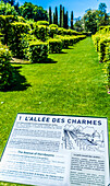 Frankreich,Perigord Noir,Dordogne,Jardins du Manoir d'Eyrignac (Historisches Monument),Hornbohnenallee