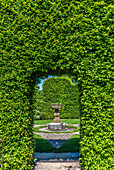 France,Perigord Noir,Dordogne,Jardins du Manoir d'Eyrignac (Historical Monument),clipped hedge